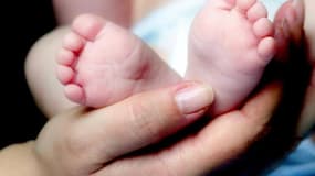 Les cas de malformations sont apparus depuis 2010.