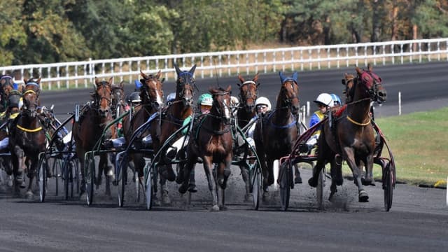 Les pronos hippiques du 10 avril 2021