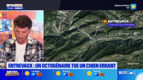 Alpes-de-Haute-Provence: effrayé par un chien errant, un octogénaire l'abat avec un fusil de chasse