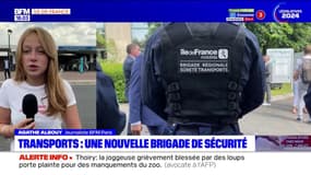 Transports en commun: une nouvelle brigade de sécurité lancée