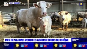 Pas de salon pour les agriculteurs du Rhône 