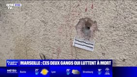 In Marseille, the bloody clash between two gangs