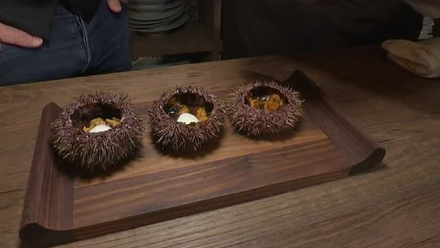 Cuisinez Fetes Oursin Et Cafe