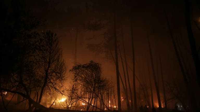 Incendie de forêt près de la plage du lac de Cazaux, à la Teste-de-Buch, en Gironde, le 15 juillet 2022 Incendie de forêt près de la plage du lac de Cazaux, à la Teste-de-Buch, en Gironde, le 15 juillet 2022