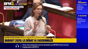 "Je trouve cela très désobligeant": la ministre des Comptes publics Amélie de Montchalin recadre le député RN Jean-Philippe Tanguy