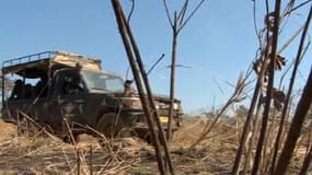Parc naturel de Waza au Cameroun que la famille Moulin-Fournier a visité avant de se faire enlever le 19 février 2013.