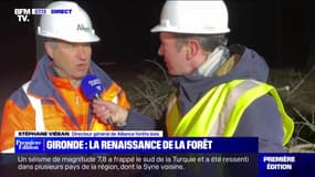 Gironde : la renaissance de la forêt - 06/02
