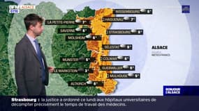 Météo Alsace: un ciel nuageux ce jeudi, jusqu'à 14°C à Colmar et 13°C à Munster