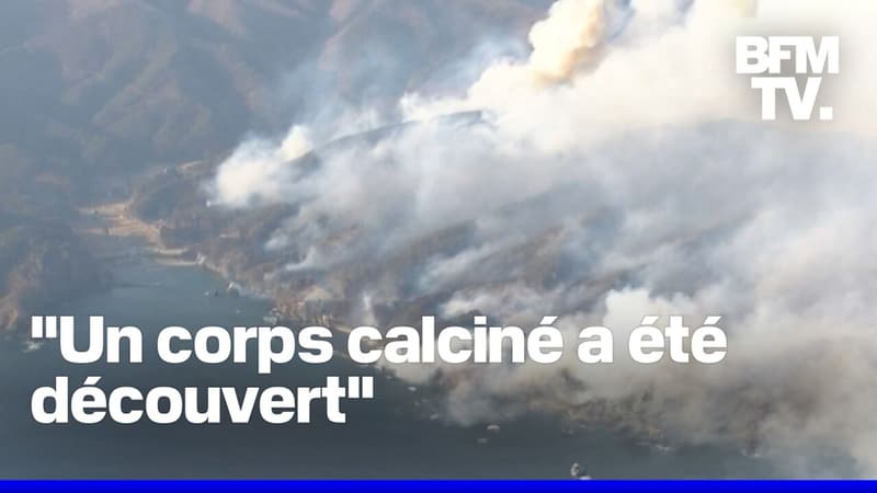 Japon: un important feu de forêt fait au moins un mort dans la province d'Ofunato