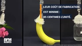 Ces "muscles" permettent aux robots de porter 1150 fois leur poids