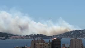 Les Canadairs tentent d'éteindre l'incendie de Saint-Mandrier-sur-Mer - Témoins BFMTV