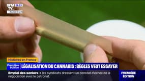 La ville de Bègles veut expérimenter la légalisation du cannabis