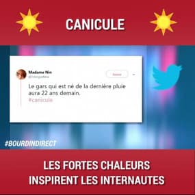 Canicule: les fortes chaleurs amusent et inspirent les internautes