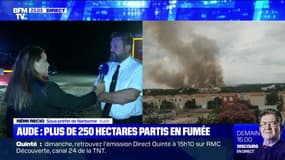 Incendie dans l'Aude: "Le feu est désormais fixé", annonce le sous-préfet de Narbonne