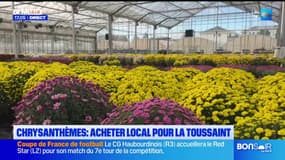 "On fait travailler les locaux": le succès des chrysanthèmes du Nord pour la Toussaint