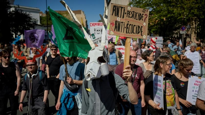 "Les printemps deviennent silencieux à cause des pesticides": une marche "bruyante" organisée ce samedi à Paris