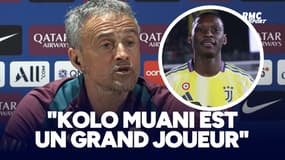 "Kolo Muani est un grand joueur" salue Luis Enrique
