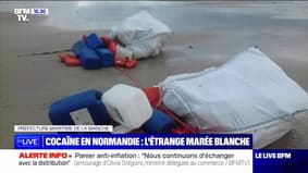 Tonnes de cocaïne échouées en Normandie: le mystère reste entier