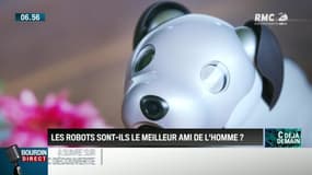 La chronique de Frédéric Simottel : Aibo, le "robot" de compagnie idéal - 03/11