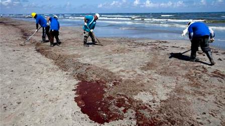 Nettoyage d'une plage en Louisiane. La tentative de colmatage que prévoit BP cette semaine sur son puits de pétrole à l'origine d'une marée noire dans le golfe du Mexique a entre 60 et 70% de chances de réussite, selon un responsable de la compagnie. /Pho