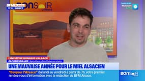 Alsace: un apiculteur témoigne des méfaits du varroa, un acarien nocif pour les abeilles