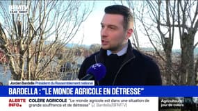 "Le monde agricole est dans une situation de grande souffrance", déclare Jordan Bardella, président du Rassemblement national