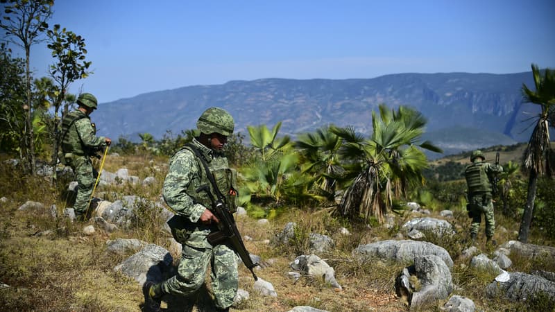 Les autorités de Guerrero, au Mexique, l'un des Etats les plus touchés par les violences et les cartels de drogue. 
