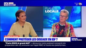 Planète Locale du lundi 19 juin - Comment protéger les oiseaux en IDF ?