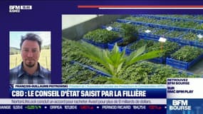 François-Guillaume Piotrowski (AFPC) : Le conseil d'État saisit par la filière CBD - 11/08