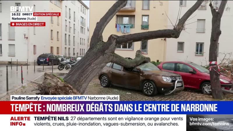Tempête Nils: à Narbonne, des voitures écrasées par des chutes d'arbres