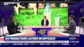 Crise: Comment aider les producteurs de lait ? - 10/05