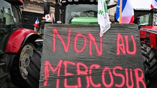 Une pancarte sur un tracteur portant l'inscription "Non au Mercosur" devant la préfecture de la Marne lors d'une manifestation d'agriculteurs à Châlons-en-Champagne, le 18 novembre 2024 (photo d'illustration).