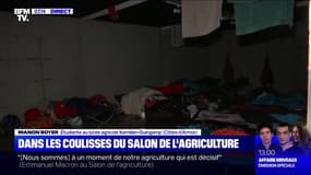 Dans les coulisses du Salon de l'agriculture - 23/02