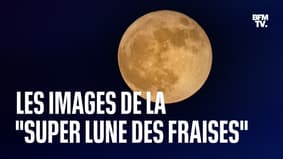 "Super lune des fraises": les images de la lune, au plus proche de la Terre