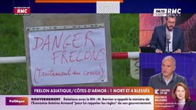 Frelon asiatique/Côtes-d'Armor:  "En réalité il faut être vigilant...Le frelon asiatique est présent partout" affirme Stéphane Bras 