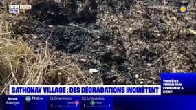 Métropole de Lyon: d'importantes incivilités à Sathonay-Village