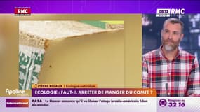"Production polluante" du comté: "Il faut arrêter d'en manger pour faire réagir la filière"