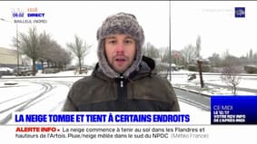 Nord-Pas-de-Calais: la neige tombe et tient au sol dans la région