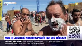 Marseille: des nageurs, piqués par des méduses au Défi Monte Christo, témoignent 