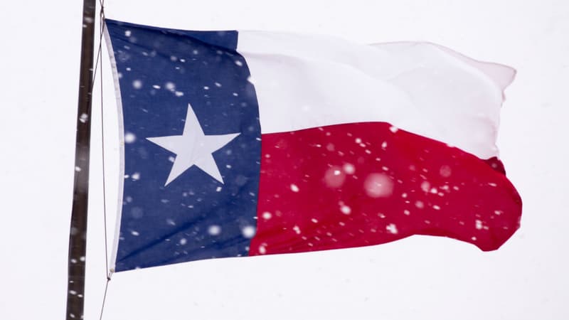 Un blizzard a causé d'importants dégâts au Texas le 26 décembre dernier, dont la mort de 15.000 vaches.