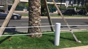 Il revient pour la première fois sur la promenade des anglais: "En fermant les yeux, je vois encore les cadavres"