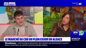 Alsace: MyCbdApp, une application alsacienne bientôt en bourse? 