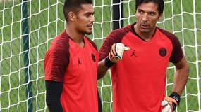 Areola et Buffon
