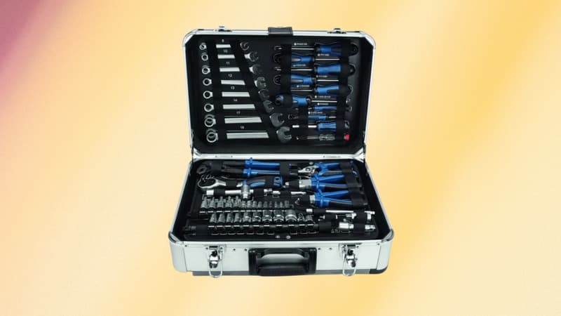 Cette boîte à outils complète est vendu au prix idéal pour les petits budgets (offre à durée limitée)