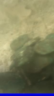Une équipe de plongeurs a découvert un trésor de plusieurs siècles au large de la Floride