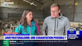 Planète Locale du mercredi 10 mai 2023 - Loup/Pastoralisme : une cohabitation possible ?