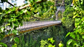Le pont suspendu de la rivière de l'est à La Réunion.