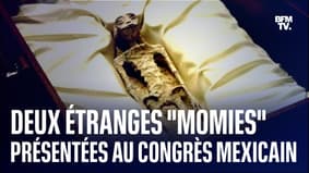  👽🇲🇽 Deux étranges "momies d'extraterrestres" présentées au Congrès mexicain 