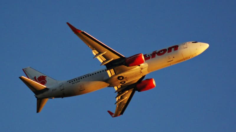 Un avion de la compagnie Lion Air. (photo d'illustration)