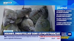 Poissons bloqués dans les ports